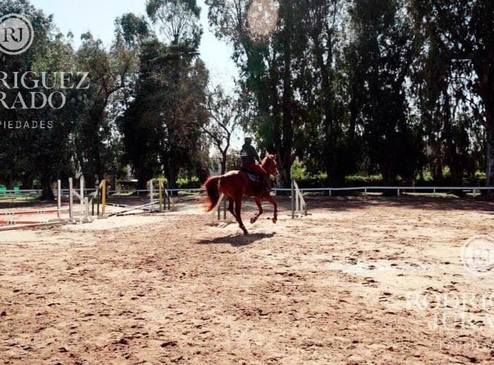Lote Al Golf - 1.391 m² - Haras Santa Maria - 4