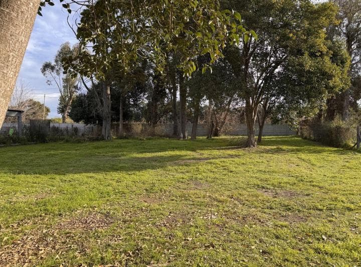 Lote Arbolado en Venta San Matias Imperdible - 5