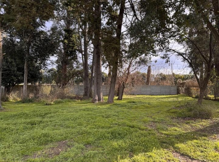 Lote Arbolado en Venta San Matias Imperdible - 4