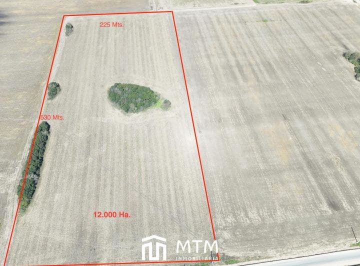 Terreno en Venta Puerto San Martin. Terminal 6/ Cargill. - 3