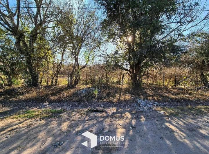 Venta Terreno en La Caldera Pueblo - 3