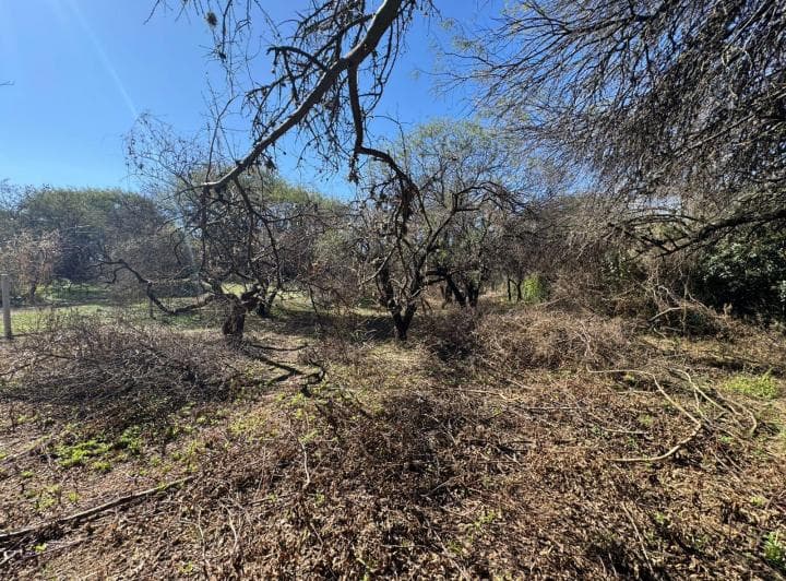 Venta Terreno en Villa Warcalde 1300 m con Escritura, Apto 3/4 Unidades - 5