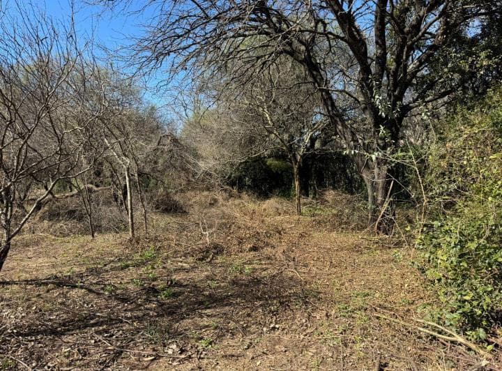Venta Terreno en Villa Warcalde 1300 m con Escritura, Apto 3/4 Unidades - 4
