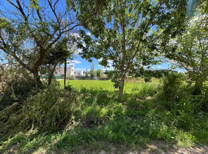 Lote en Venta en Villa Parque Sicardi - 2