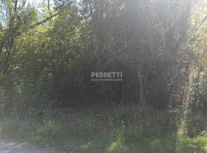 Terreno en Venta en Gral Las Heras 650 m² - 4