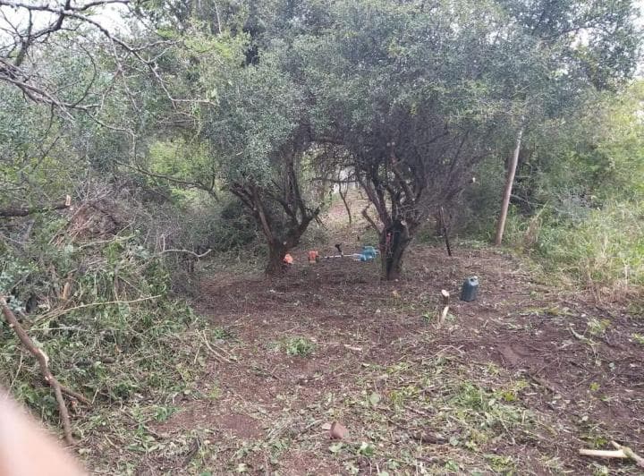 Terreno en Venta en El Pueblito con Escritura - Oportunidad - 4