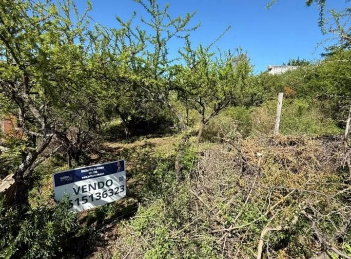 Terreno en Venta en El Pueblito con Escritura - Oportunidad - 2