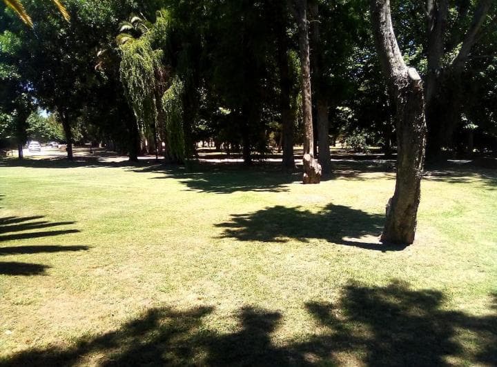 Lote Haras del Sur I - 4