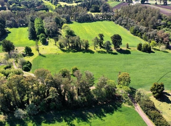 Campo Sobre Ruta 88 - 2