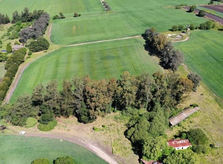 Campo Sobre Ruta 88 - 3