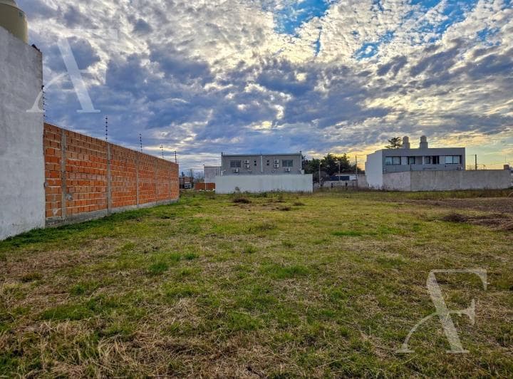 Terreno en Venta I San Pedro - 4