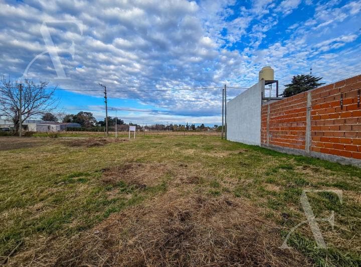 Terreno en Venta I San Pedro - 3