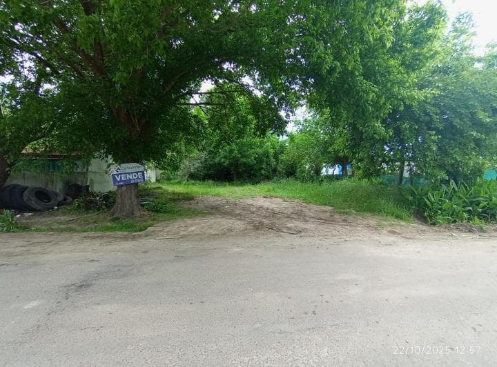 27 (412 y 413) Lote de 10 X 30 Baldio - 2