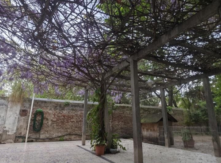 Lote con Chalet en Venta - Moron Norte - 3