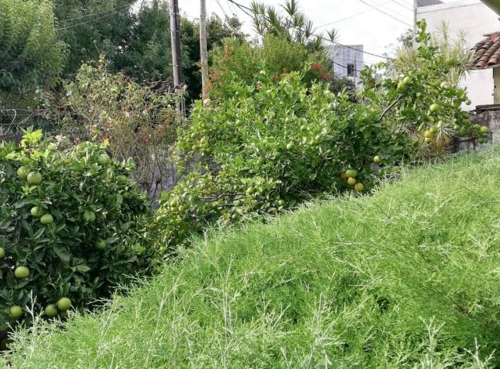 Se Vende 2 Deptos en San Jsuto en 2 Plantas con Cochera y Jardin - 4