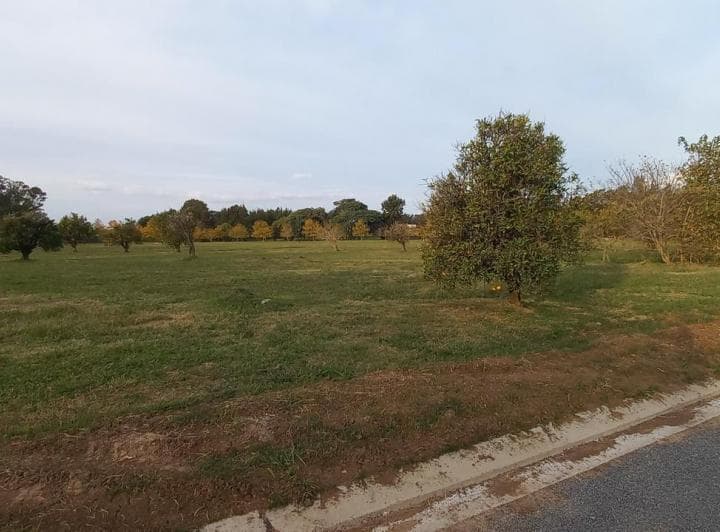 Lote 850 m² - Azahares del Paraná - Fighiera Santa Fe | Venta - 5