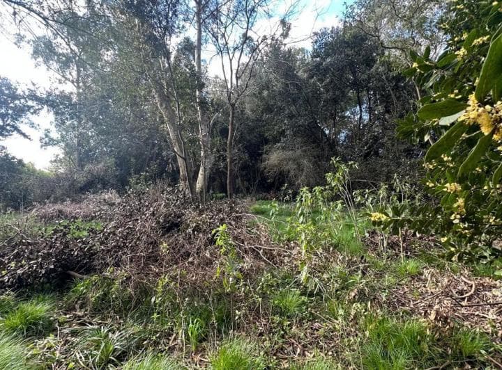 Gran Lote de Terreno, 2800 m². Apto Permuta: Consultar. Ayacucho 999.chascomús, Buenos Aires - 3