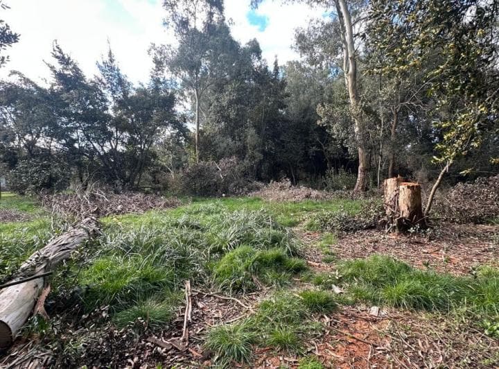Gran Lote de Terreno, 2800 m². Apto Permuta: Consultar. Ayacucho 999.chascomús, Buenos Aires - 2