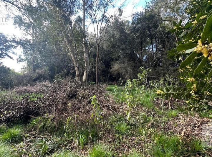 Gran Lote de Terreno, 2800 m². Apto Permuta: Consultar. Ayacucho 999.chascomús, Buenos Aires - 4