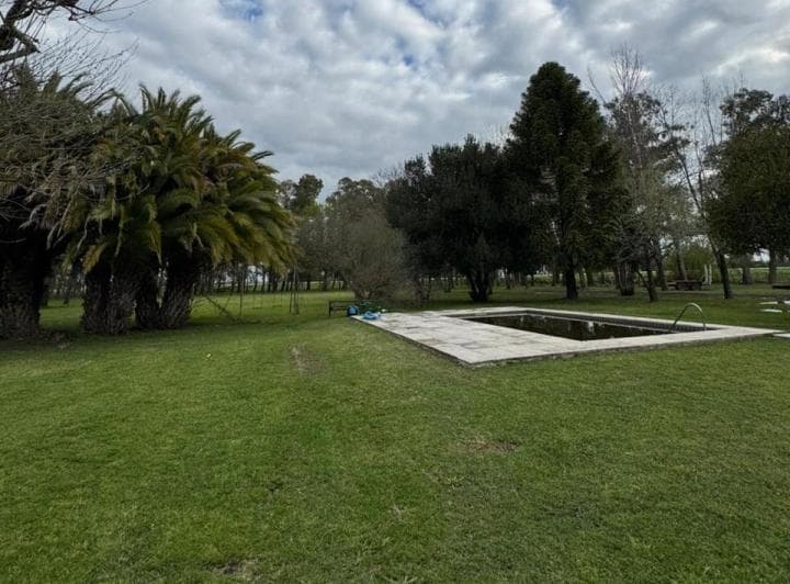 Venta Campo 12 Has Sobre Ruta 9, Km98, Zárate - 4