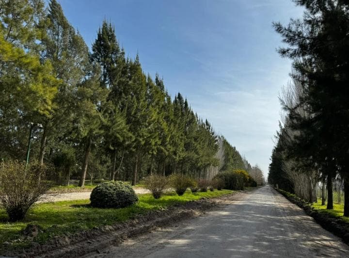 Lote Central en Venta - Campos de Roca II - 2