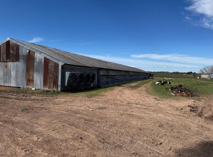 Vendo Granja Avicola en Concepción del Uruguay, Entre Ríos. - 4