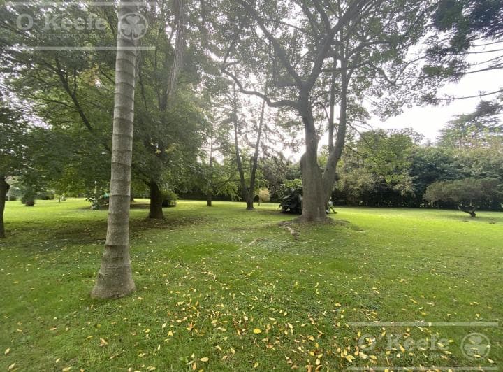 Casa Quinta en Venta en El Pato Sobre Lote de 6640 m² No Alquiler - 5