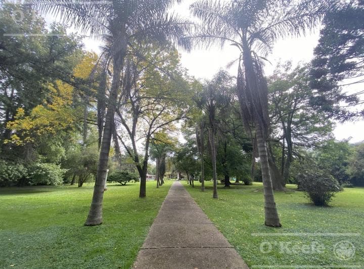 Casa Quinta en Venta en El Pato Sobre Lote de 6640 m² No Alquiler - 3