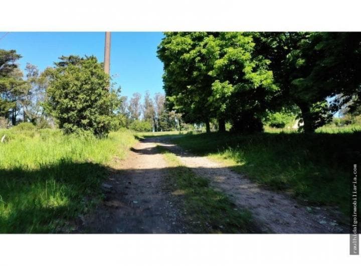 Campo 75 Has en Batan Sobre Ruta - 3