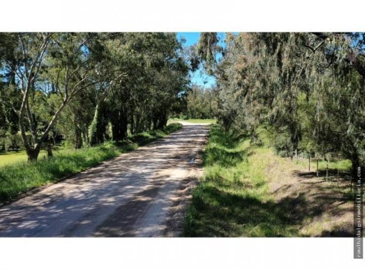 Campo 75 Has en Batan Sobre Ruta - 2