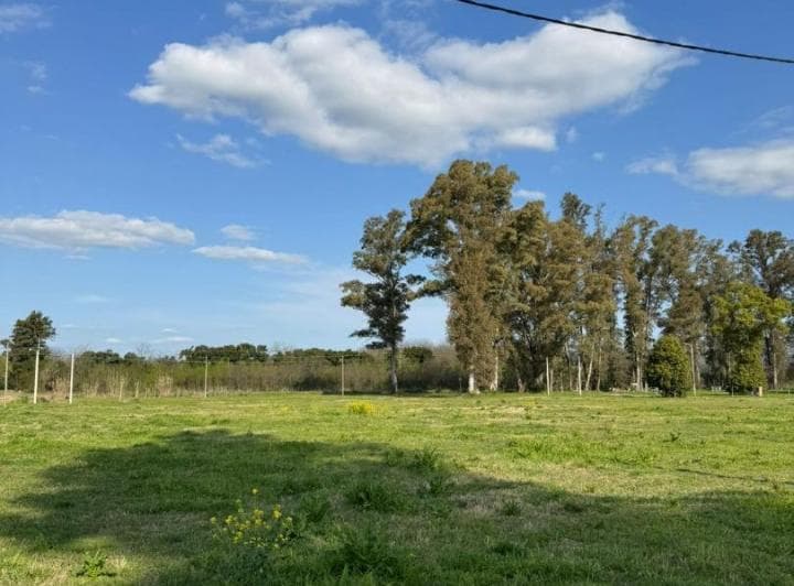 Últimos Lotes de 1000 m² en Colectora Rn5 - 2