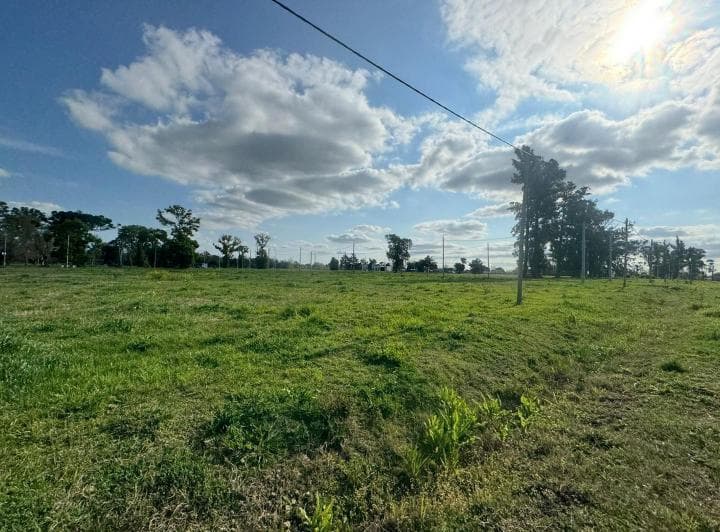 Últimos Lotes de 1000 m² en Colectora Rn5 - 4