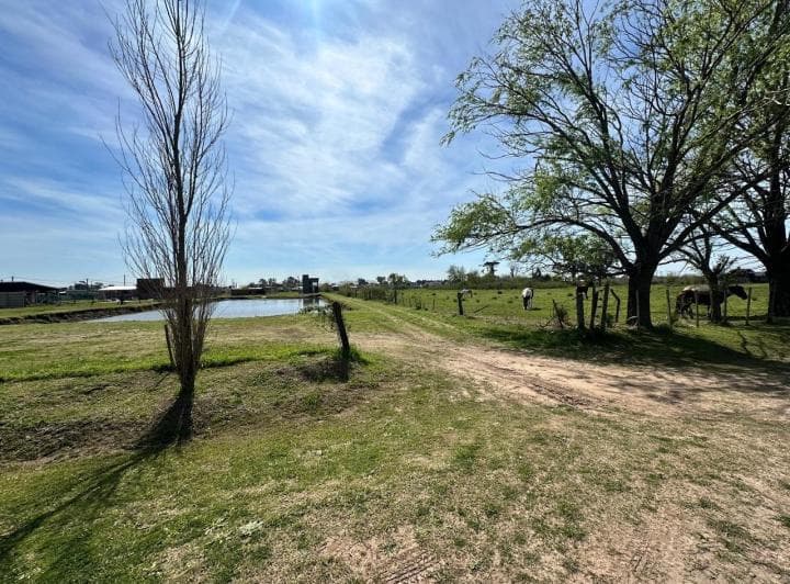 Lote en Ibarlucea - El Origen - Lote 23 - Frente Calle Principal Schilla - Cerca de Funes - Acepta F - 2