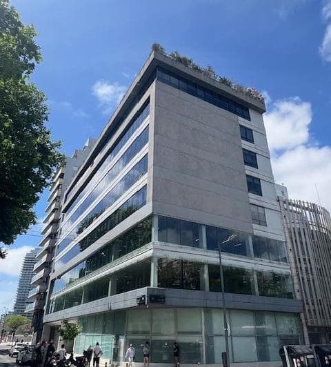 Alquiler Oficina Corporativa Triple a 500 m² 5 Cocheras San Telmo Centro Puerto Madero - 2