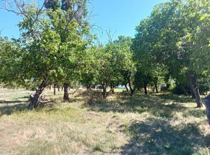 Loteo Puelo Chico Terreno de 500 m² a m del Centro Desde Usd 27.300 - 2