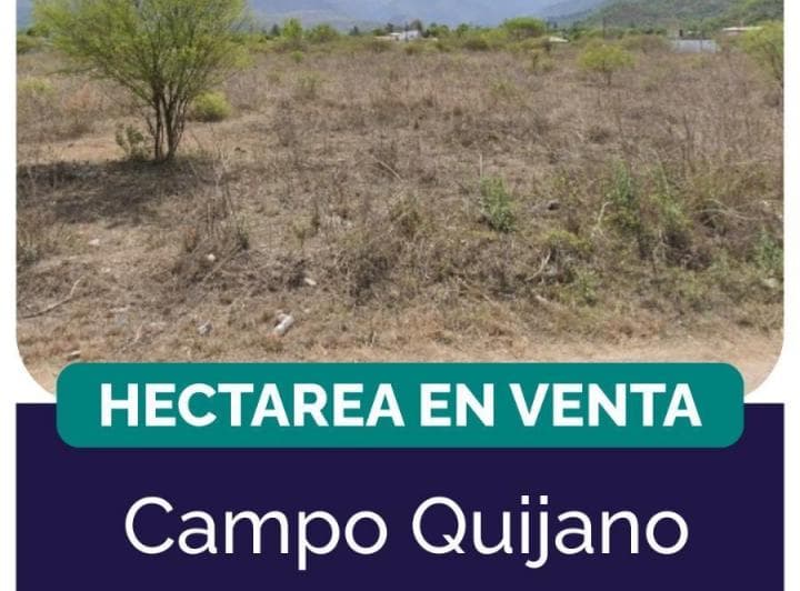 Venta Terreno Campo Quijano - 3