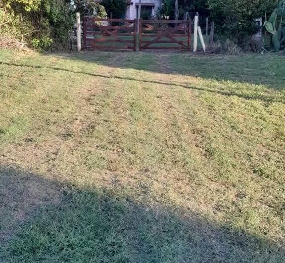 Venta de Campo Indacochea - Chivilcoy - Buenos Aires - 3