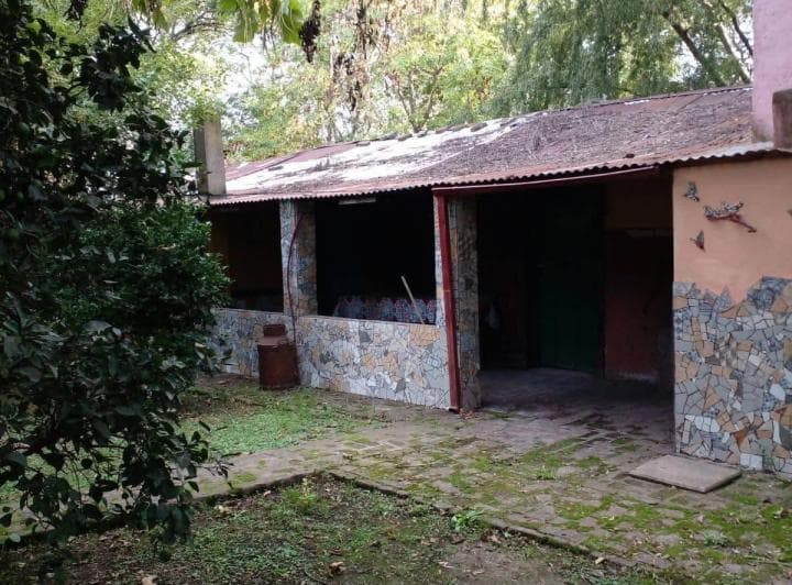 Venta de Campo Indacochea - Chivilcoy - Buenos Aires - 4