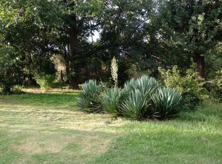 Venta de Campo Indacochea - Chivilcoy - Buenos Aires - 5