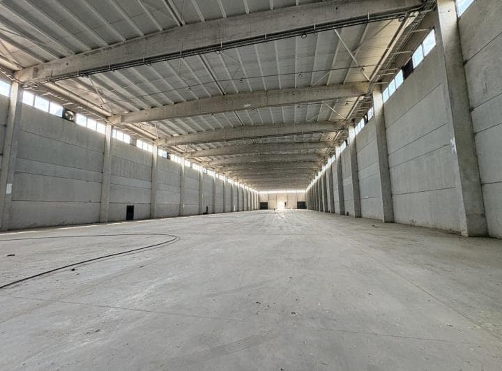 Juan Pablo II 7800 - Nave Logística Aaa 5.590 m² - 4