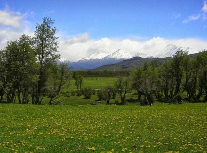 Terreno Venta Patagonia Chubut 2,8 Ha Pesca con Mosca Frente Sobre Ruta Bosque Nativo - 4