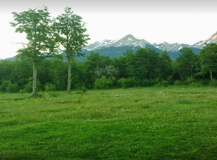 Terreno Venta Patagonia Chubut 2,8 Ha Pesca con Mosca Frente Sobre Ruta Bosque Nativo - 2
