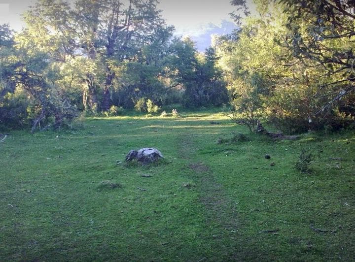 Terreno Venta Patagonia Chubut 2,8 Ha Pesca con Mosca Frente Sobre Ruta Bosque Nativo - 5