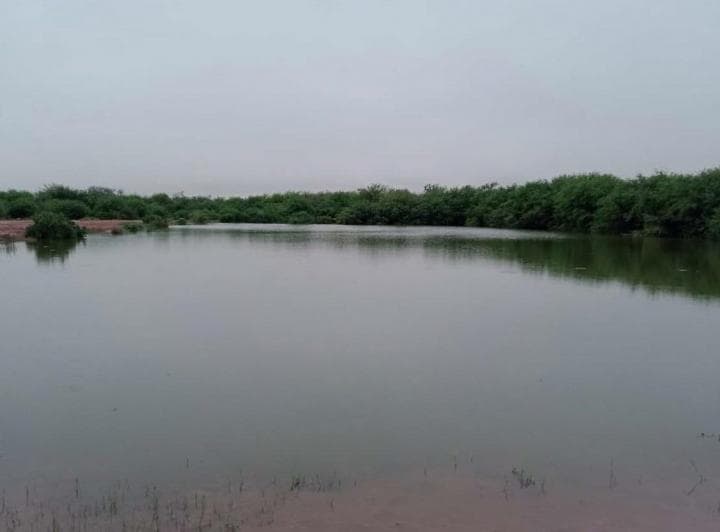 Las Zanjas – Departamento Figueroa Santiago del Estero - 4