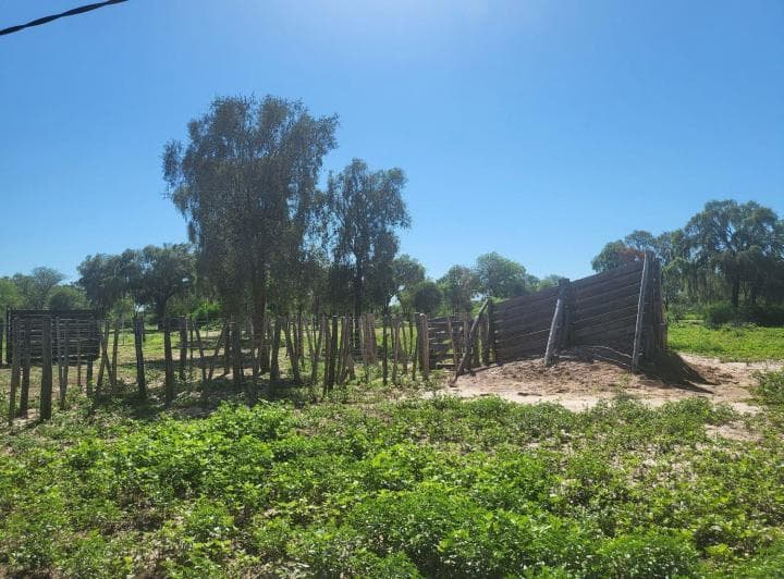 Las Zanjas – Departamento Figueroa Santiago del Estero - 5
