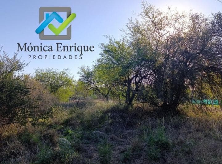 Lote en Las Moreras | Merlo San Luis 1244 m² con Bases Construidas y Planos - 2