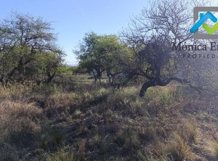 Lote en Las Moreras | Merlo San Luis 1244 m² con Bases Construidas y Planos - 4