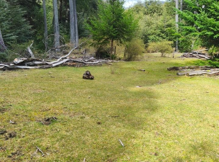 Lote de 70 Ha en Villa La Angostura - 3