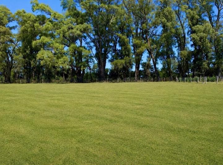 Lote en Venta - Comarca Santa Ines - Luján - 2