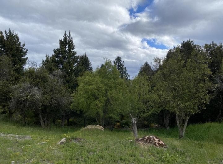 Venta Lote/terreno 2049,27 m² Uf 33 B° Raitrai San Martin de Los Andes - 3